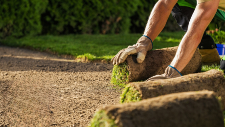 naturel grass naturel grass