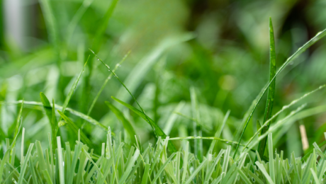 artificial turf artificial turf balkony