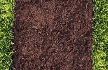 Artificial Grass Advice on Soil