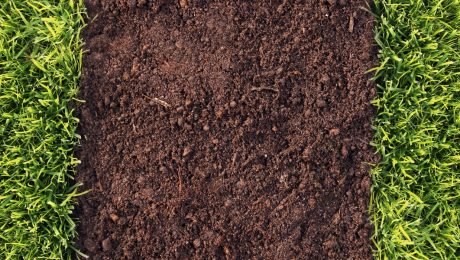 Artificial Grass Recommendation on Soil Artificial Grass Advice on Soil