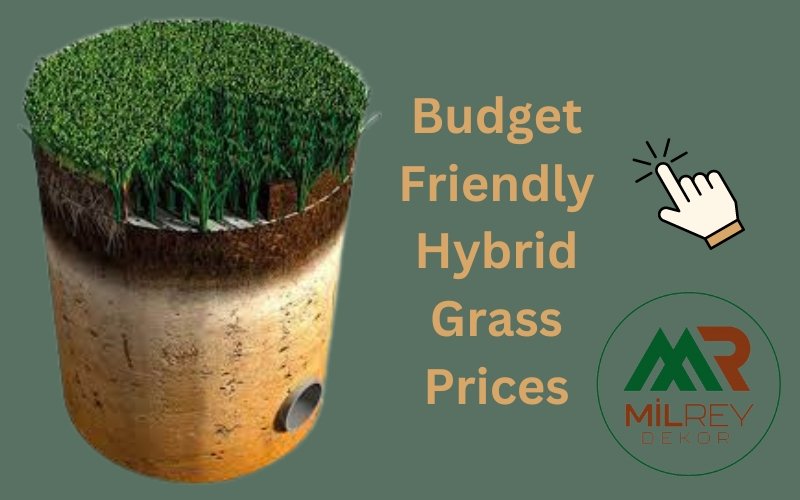 hybrid grass cost