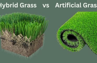 Is hybrid grass is better than artificial grass