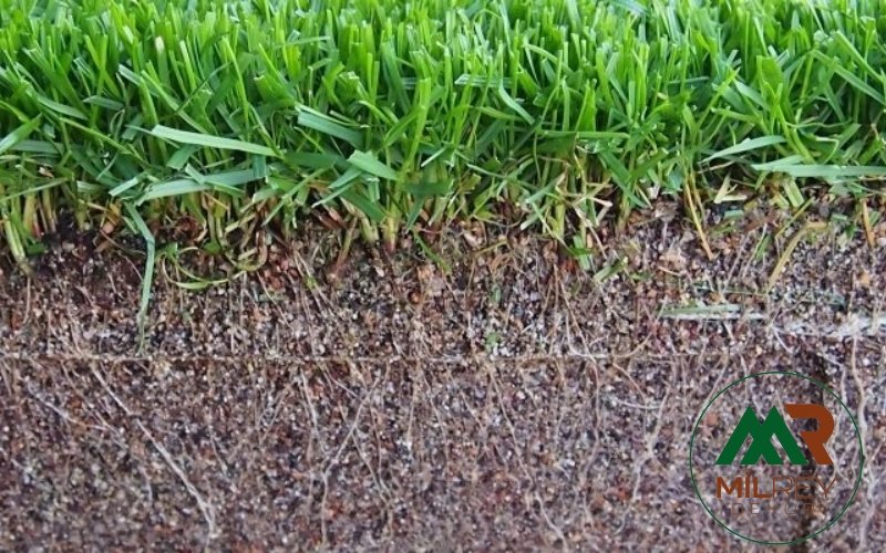 Is hybrid grass real grass