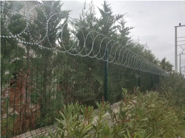 45cm Planar Razor Wire - Image 3