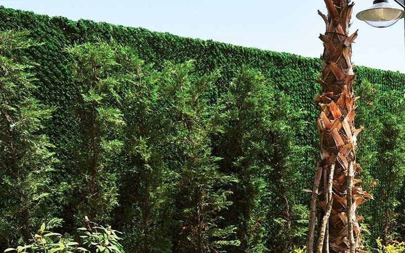 Artificial Grass Fences as Privacy Fence Panels