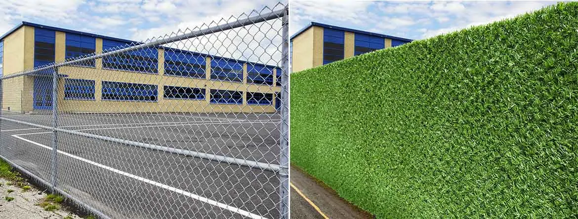 grass fence