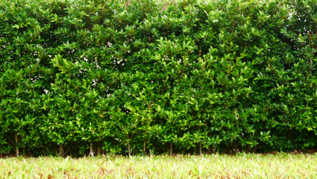 artificial grass fence artificial grass fence panel