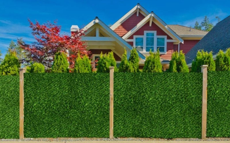 Aesthetic Meets Function Decorative Grass Fence Designs