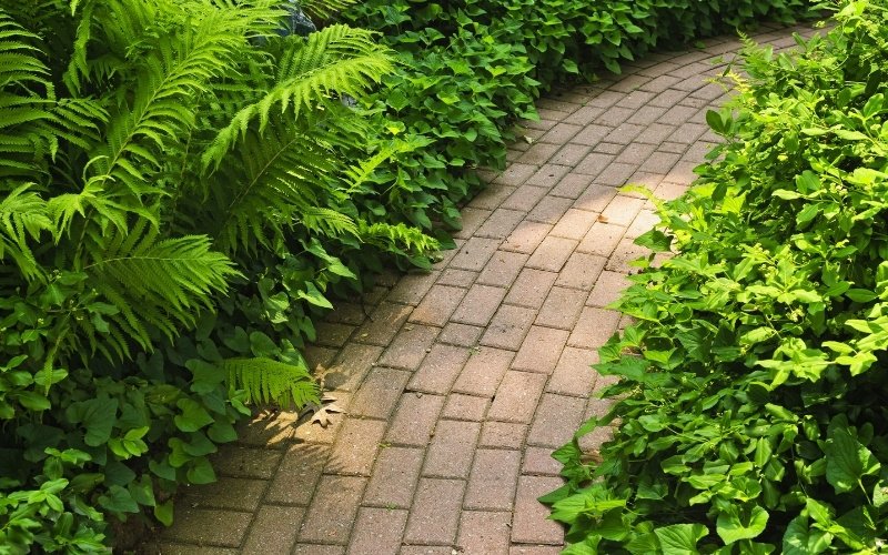 Preserving Color Vibrancy with Aesthetic Touches