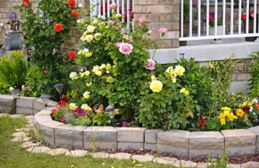 What is Natural Stone Cladding