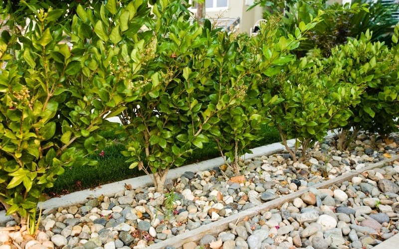 Application and Fixing Techniques