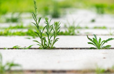 Natural Stone Cladding for Modern Architecture