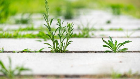 Natural Stone Cladding for Modern Architecture