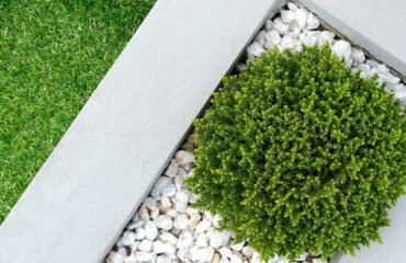 Things to Consider When Designing Landscapes with Pebbles