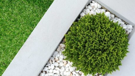 Things to Consider When Designing Landscapes with Pebbles
